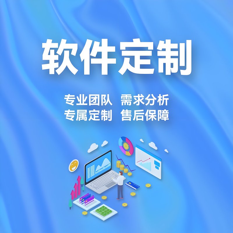 软件定制:为企业量身打造高效工具